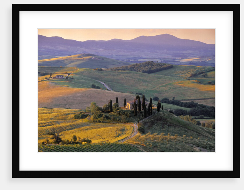 Val d'Orcia by Anonymous