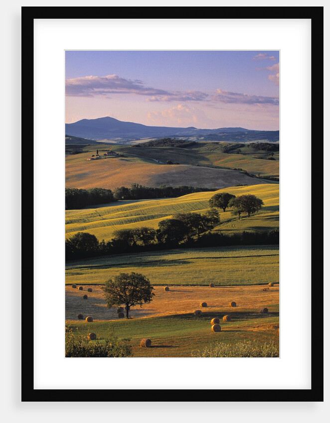 Val d'Orcia by Anonymous