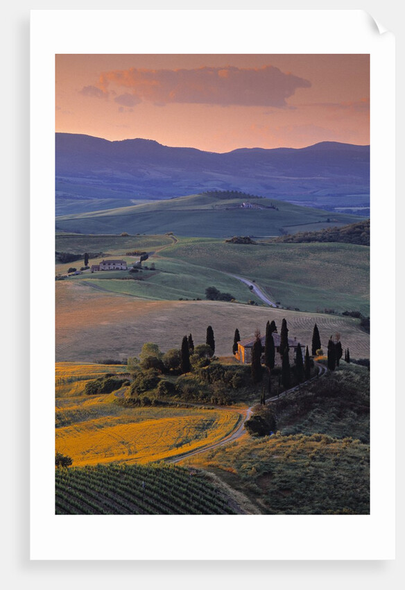 Val d'Orcia by Anonymous