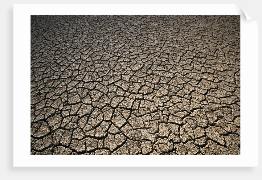 Eroding Ground of Desert by Anonymous