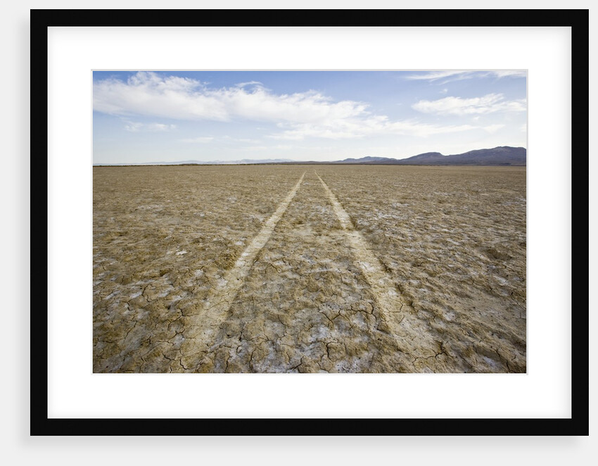 Tire Tracks Through the Desert by Anonymous