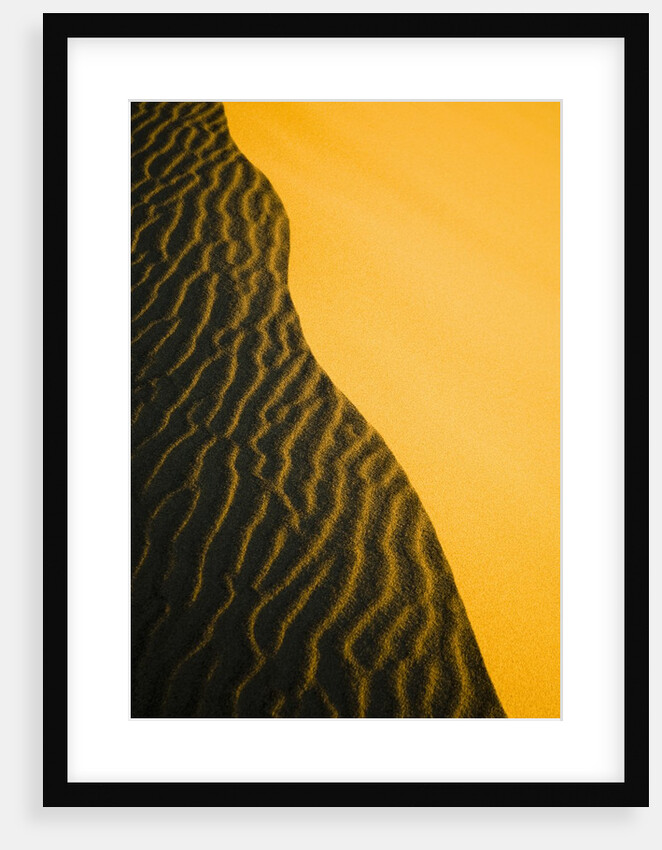 Sand Dune Ridge by Anonymous