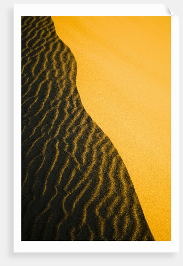 Sand Dune Ridge by Anonymous