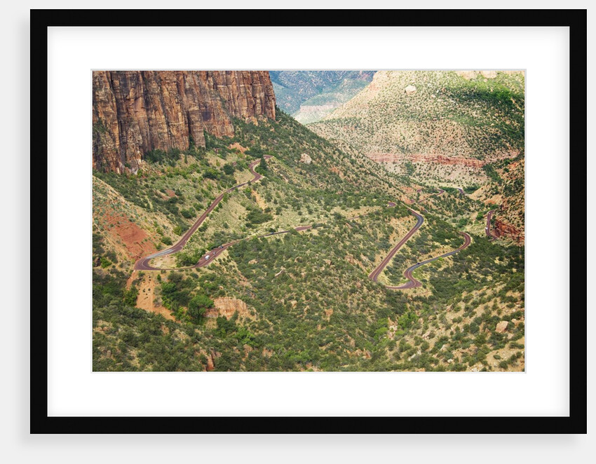 Winding Road in Zion National Park by Anonymous