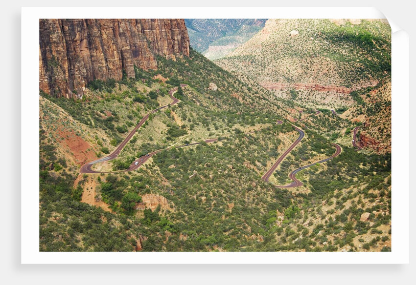 Winding Road in Zion National Park by Anonymous