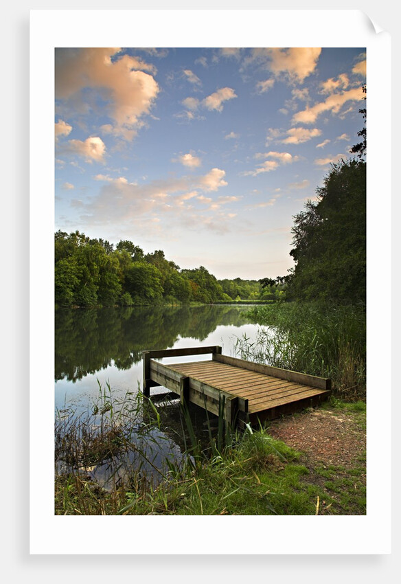 Pier on Cannop Ponds by Anonymous
