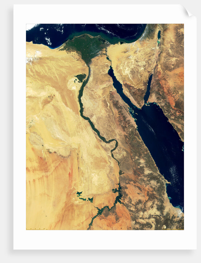 Nile River in Egypt and the Sinai Peninsula by Anonymous