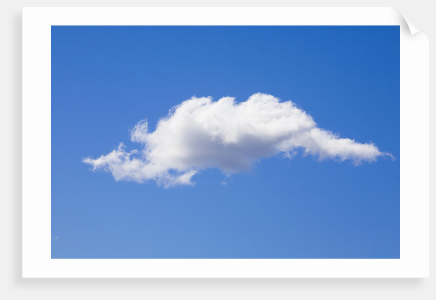 Single Cumulus Cloud in Blue Sky by Anonymous