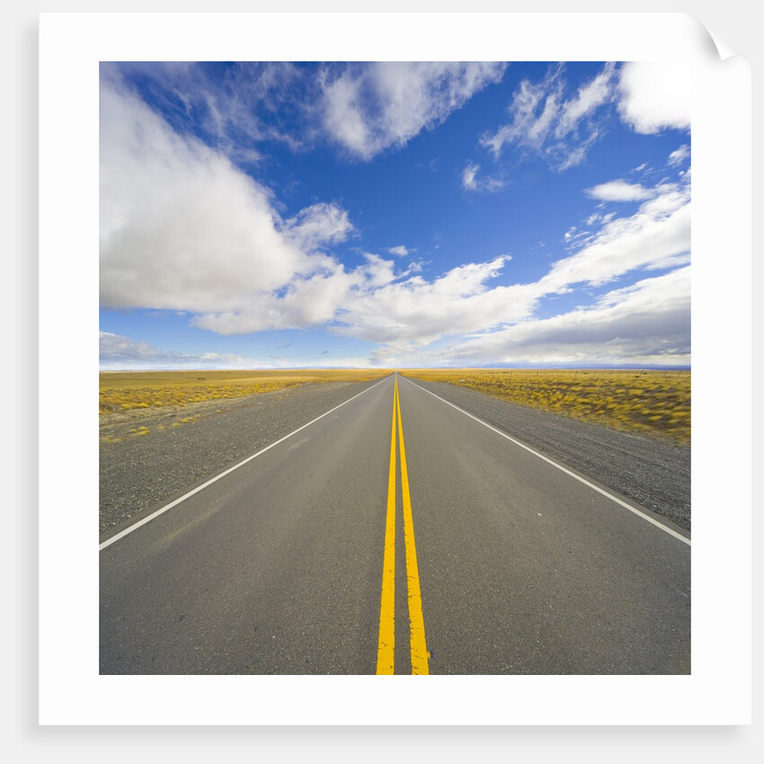 Rural Road Through Grassland by Anonymous