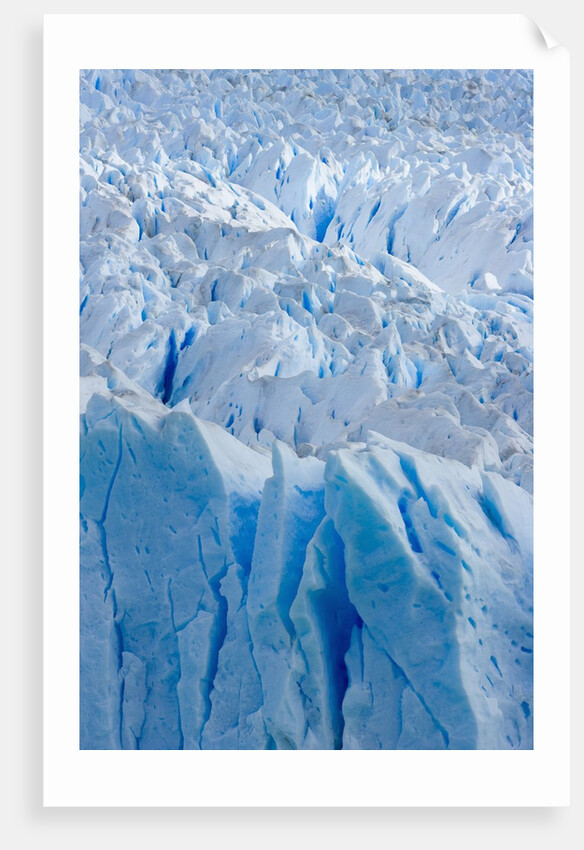 Perito Moreno Glacier by Anonymous