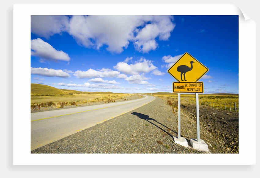 Greater Rhea Crossing Sign on Rural Road by Anonymous