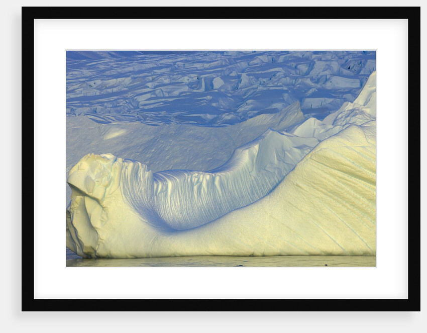 Wiggins Glacier Descending into Sea by Anonymous