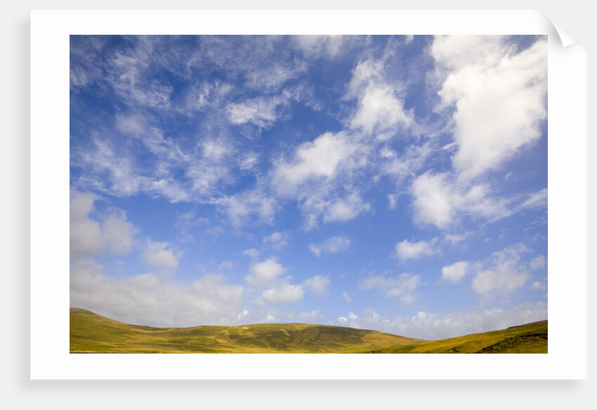 Cumulus Clouds above Tundra by Anonymous