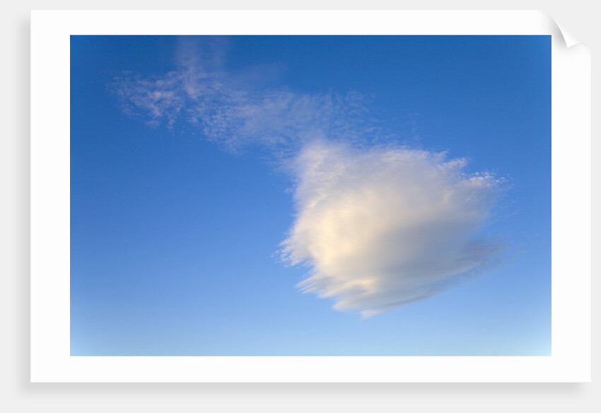 Cumulus Cloud in Blue Sky by Anonymous