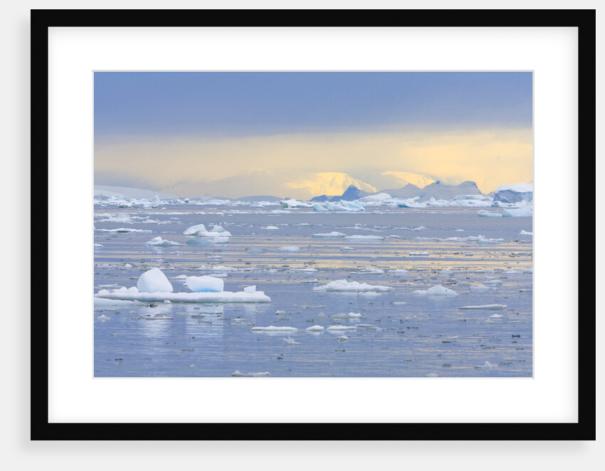 Ice Floating in the Southern Ocean by Anonymous