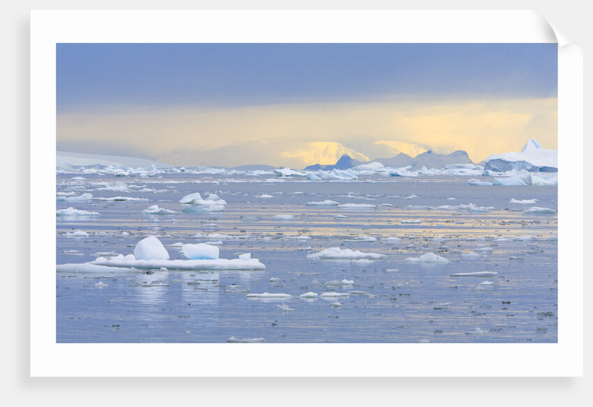 Ice Floating in the Southern Ocean by Anonymous