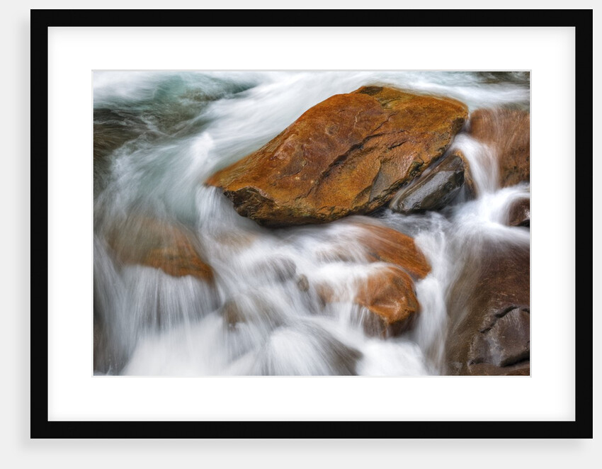Stream in Great Smoky Mountains National Park by Anonymous