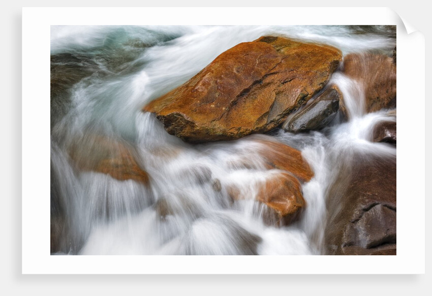Stream in Great Smoky Mountains National Park by Anonymous
