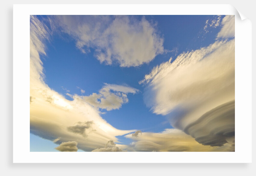 Cumulus and Lenticular Clouds at Sunrise by Anonymous