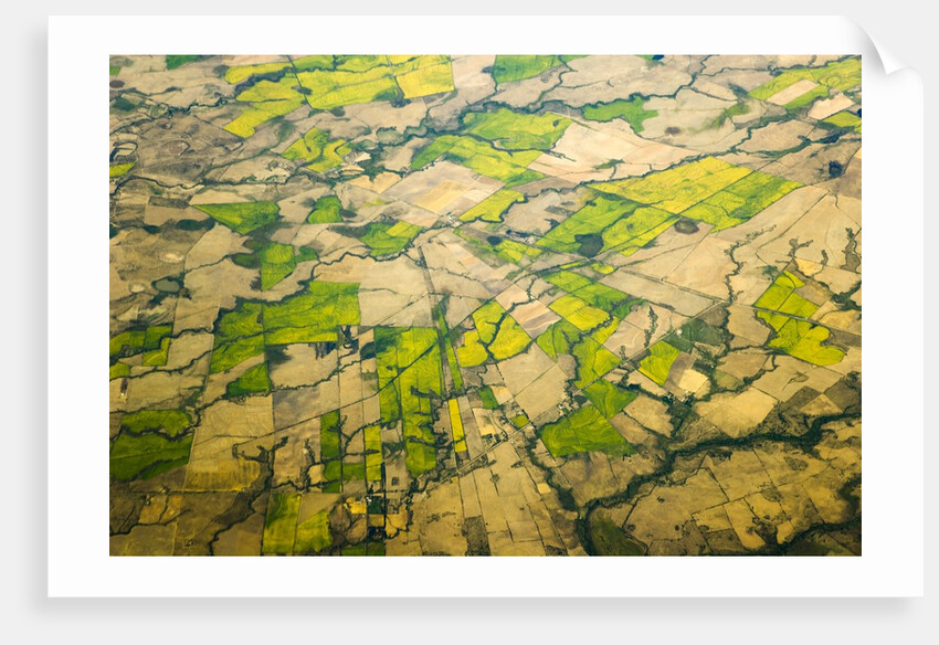 Green Agricultural Fields in Chile by Anonymous