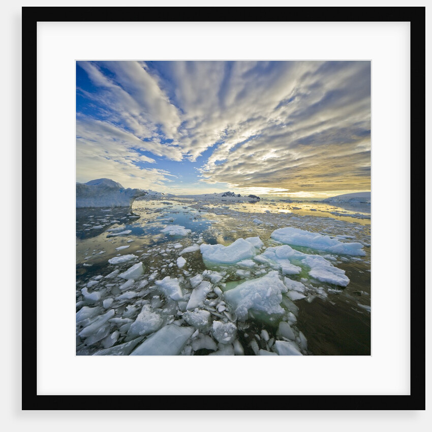 Bergy Bits in Holtedehl Bay Under an Evening Sky by Anonymous