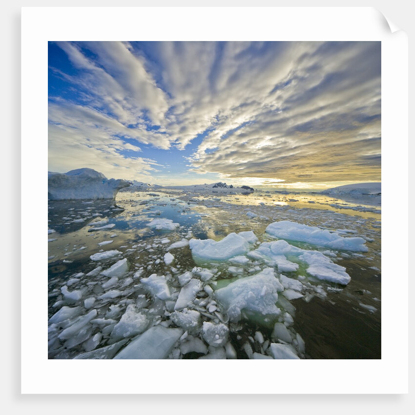Bergy Bits in Holtedehl Bay Under an Evening Sky by Anonymous