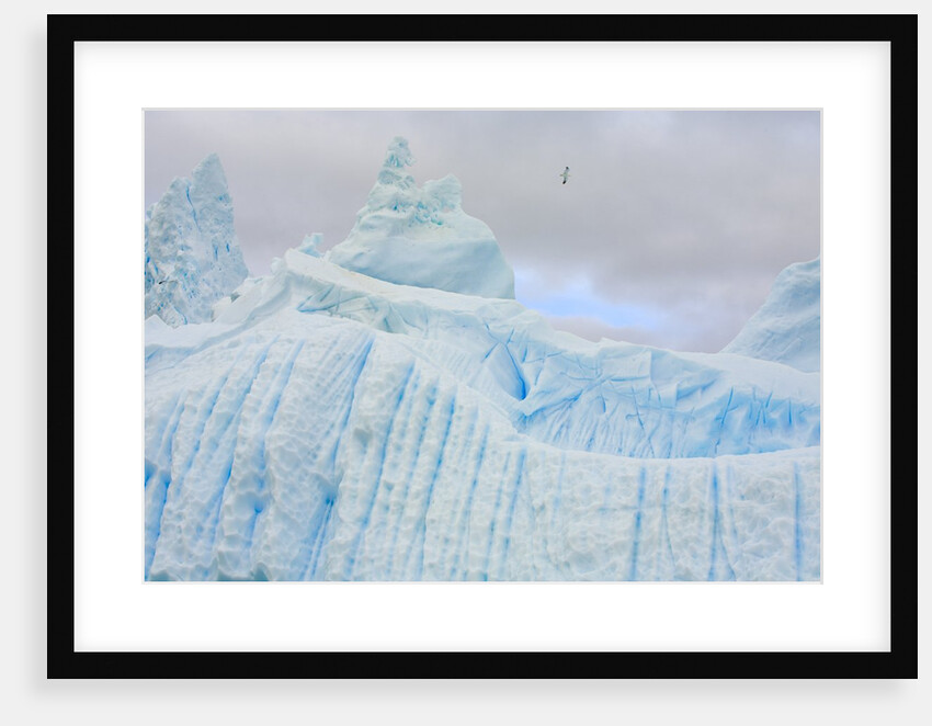 Stranded Icebergs Sculpted by Waves and Melt by Anonymous