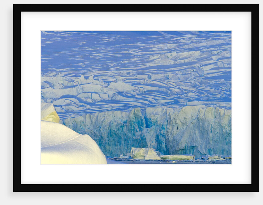 Wiggins Glacier Descending into Sea by Anonymous