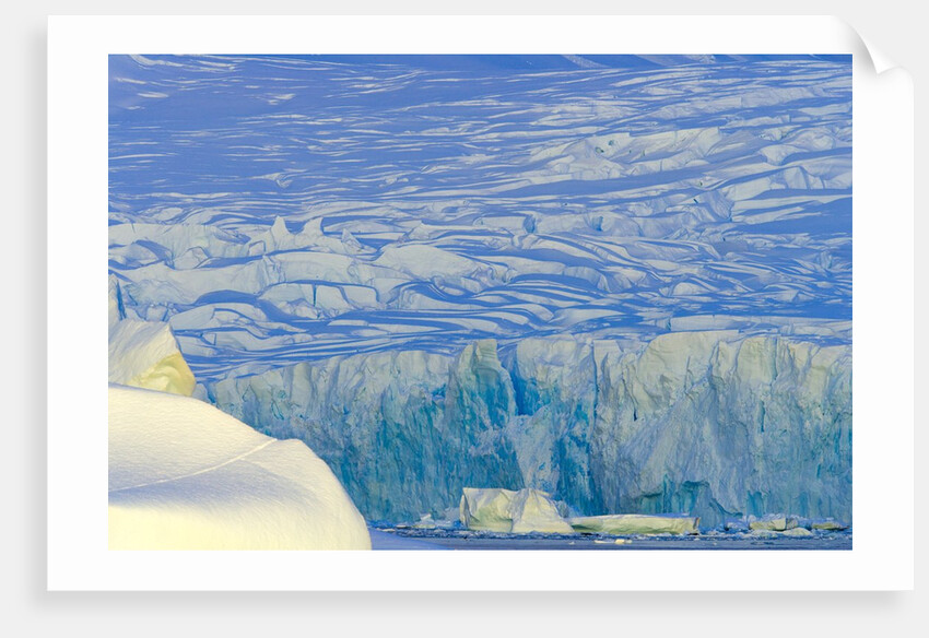 Wiggins Glacier Descending into Sea by Anonymous