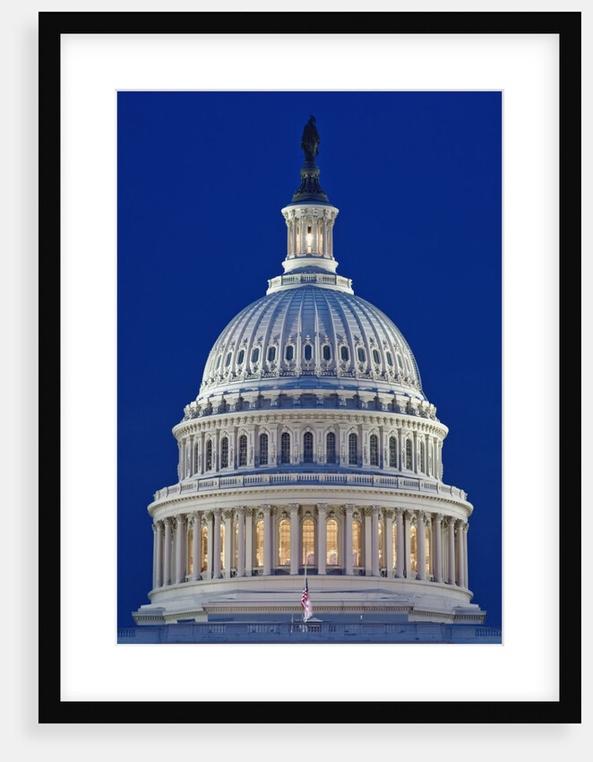 Dome of U.S. Capitol by Anonymous