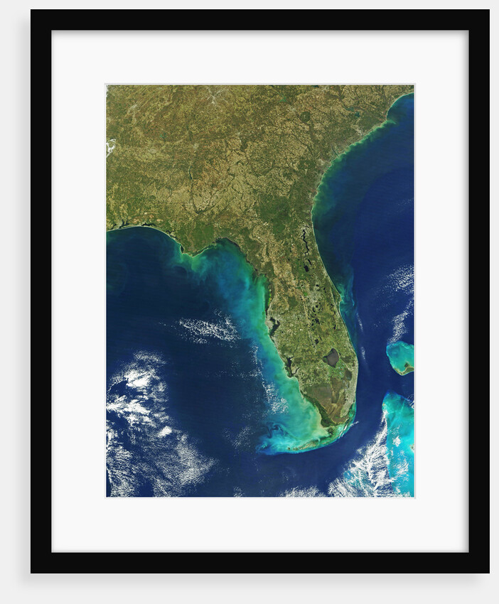 Florida Peninsula by Anonymous