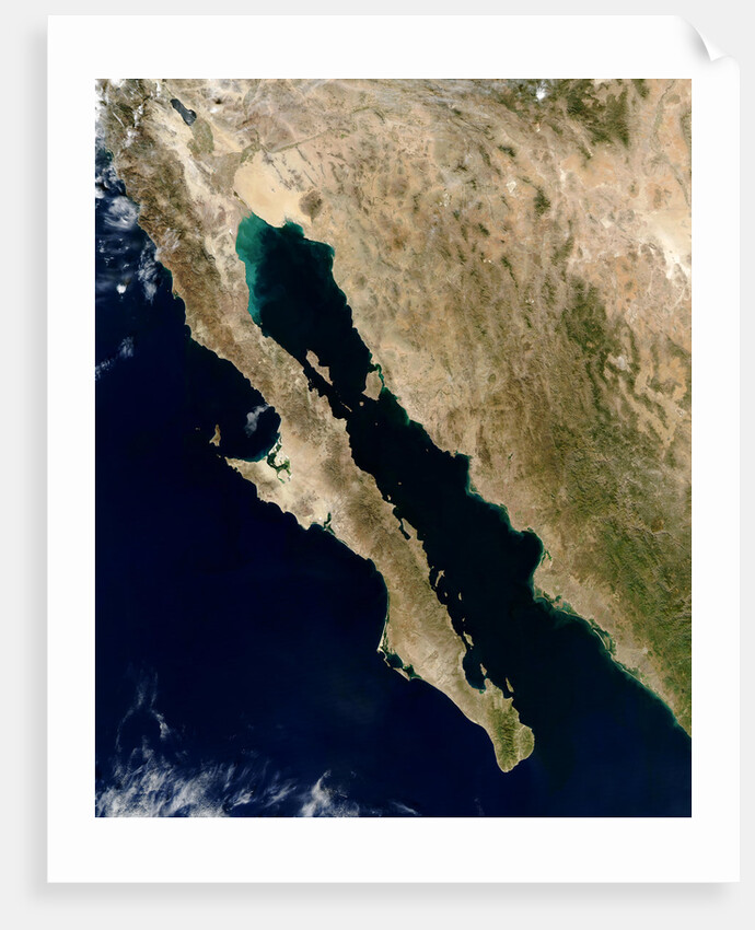 Baja California Peninsula in Mexico by Anonymous