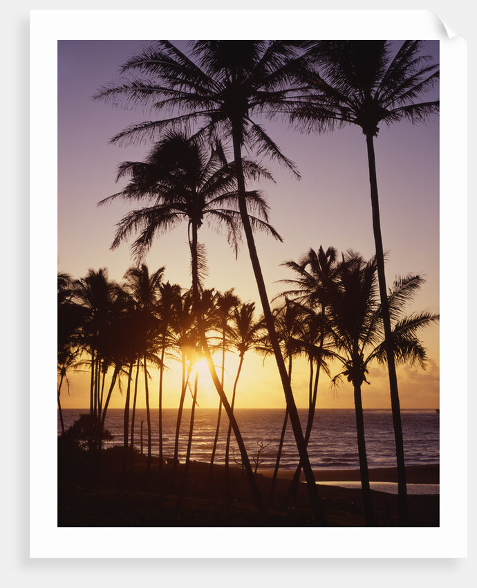 Sunset at Kihei Beach by Anonymous
