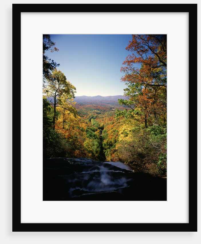 View into Valley from Amicalola Falls by Anonymous