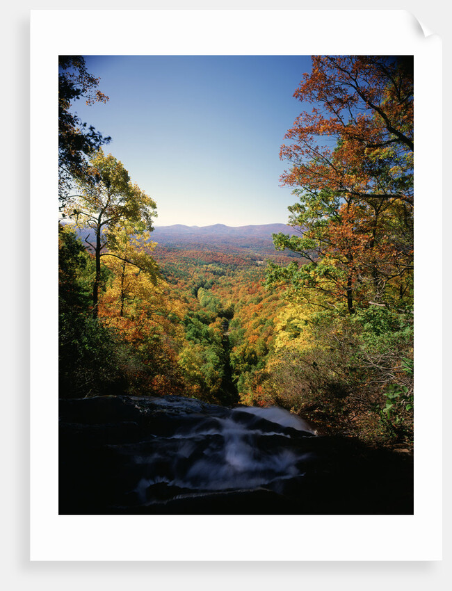 View into Valley from Amicalola Falls by Anonymous