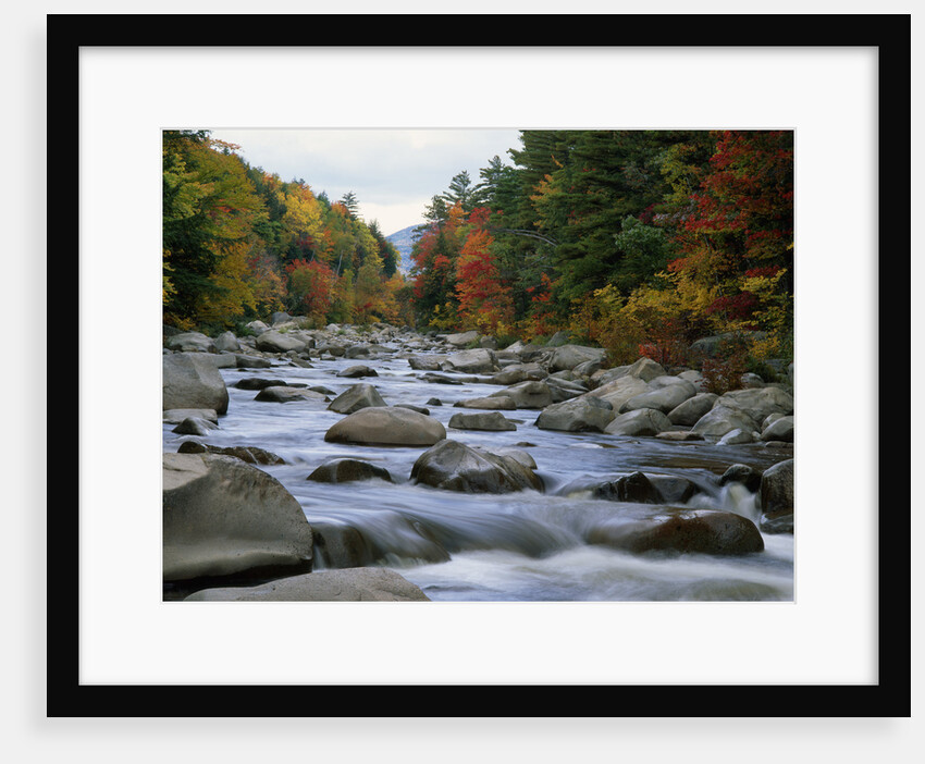 Swift River Flowing through Forest in Autumn by Anonymous