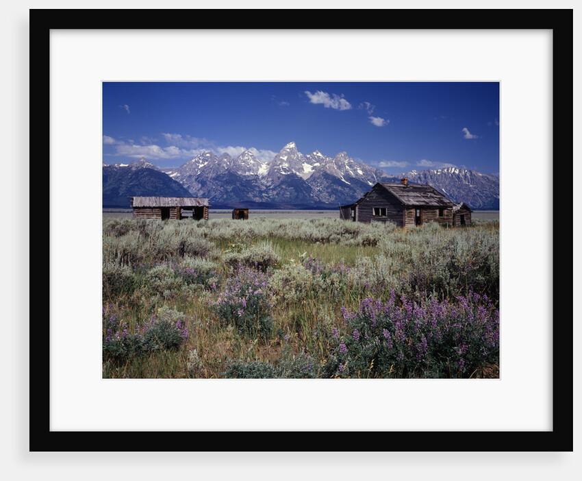 Pioneer Settlement at Jackson Hole by Anonymous