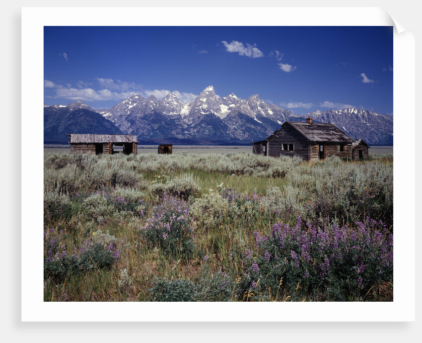 Pioneer Settlement at Jackson Hole by Anonymous