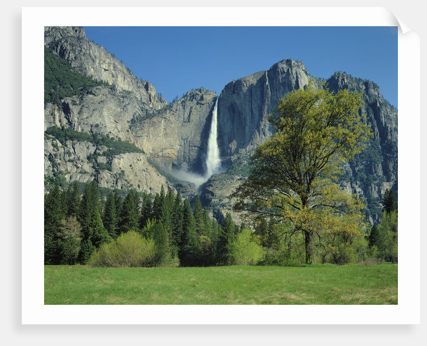 Yosemite Falls by Anonymous
