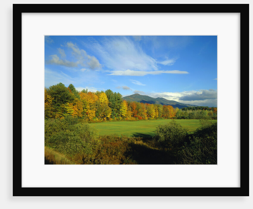 White Mountains by Anonymous