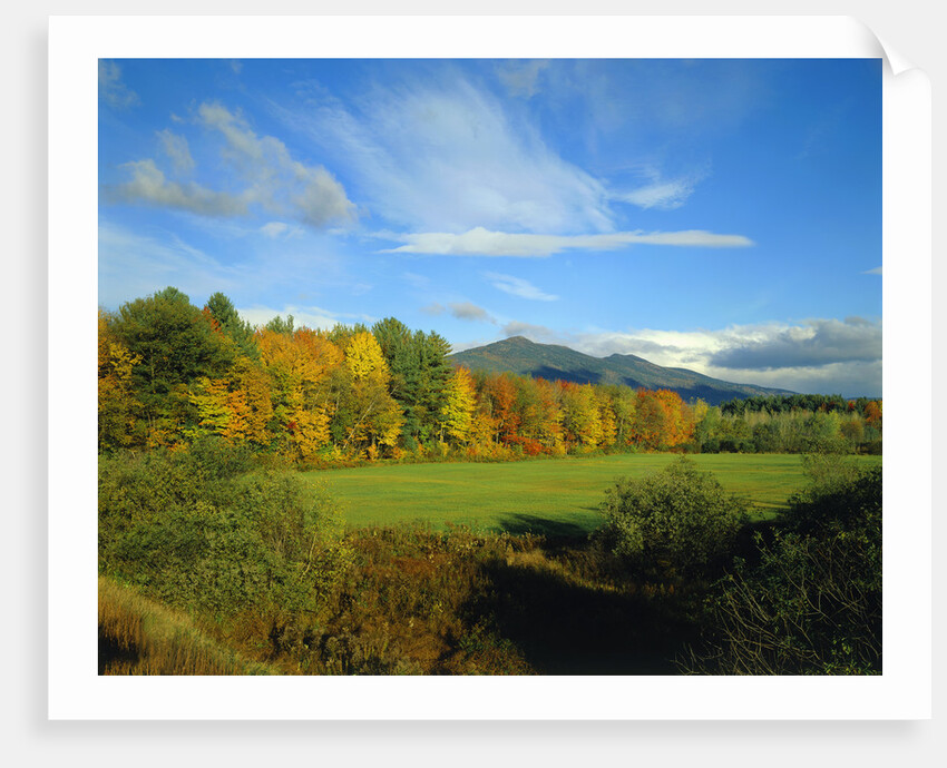 White Mountains by Anonymous