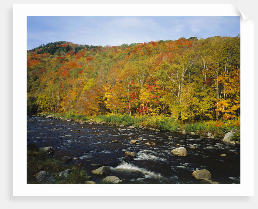 Autumn Colors Along Au Sable River by Anonymous