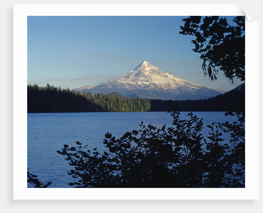 Lost Lake and Mount Hood by Anonymous