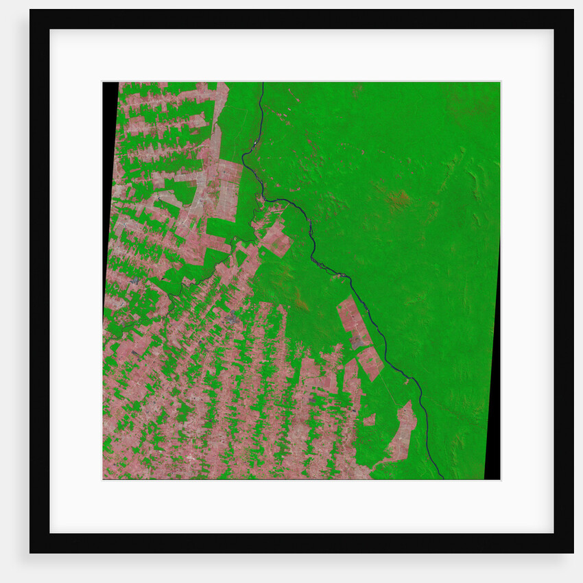 Deforestation in Rondonia State of Brazil by Anonymous