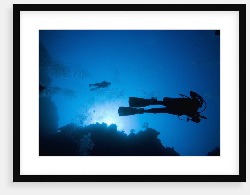 Scuba Divers Swimming near Reef by Anonymous
