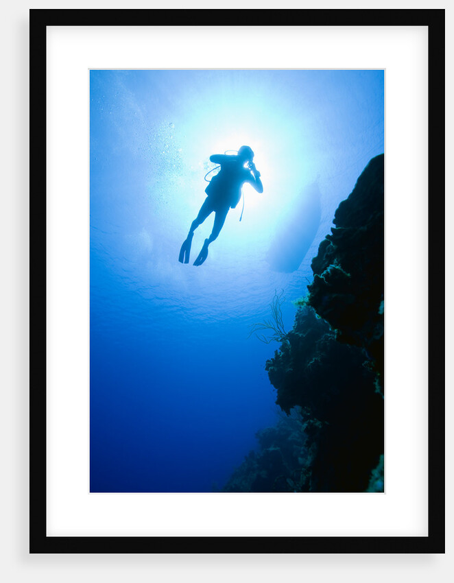Scuba Diver near Bloody Bay Wall by Anonymous