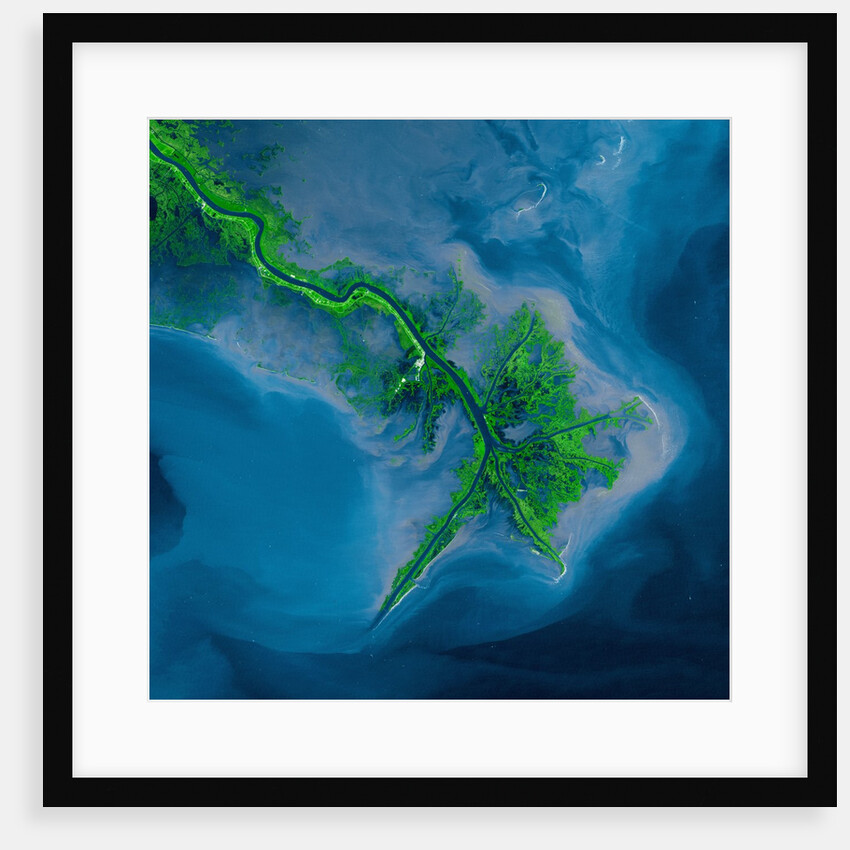 Mississippi Delta Acquired by the Landsat 7 Satellite by Anonymous