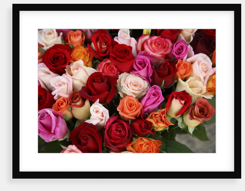 Roses for Sale at Flower Market by Anonymous