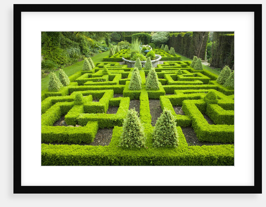 Knot Garden by Anonymous