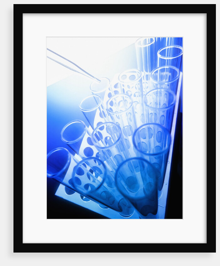 Test Tubes in Tray by Anonymous